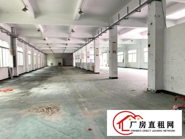  原房东厂房清溪三中高速出口独院一楼高度5米1300平出租