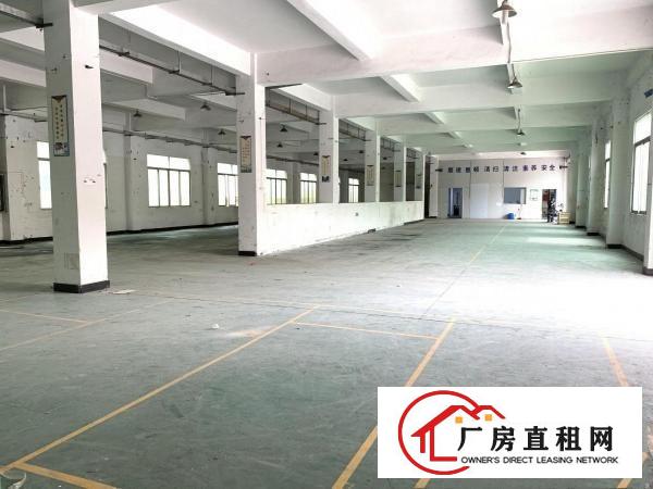  原房东厂房清溪三中高速出口独院一楼高度5米1300平出租