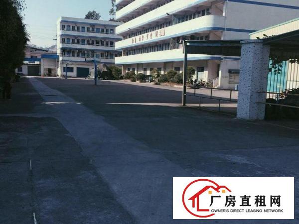  （非中介）樟木头新出800平厂房带装修带电梯场地宽好进货车