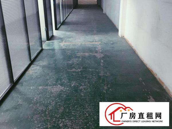  （非中介）樟木头新出800平厂房带装修带电梯场地宽好进货车