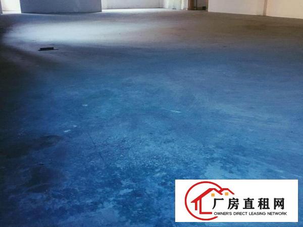  （非中介）樟木头新出800平厂房带装修带电梯场地宽好进货车