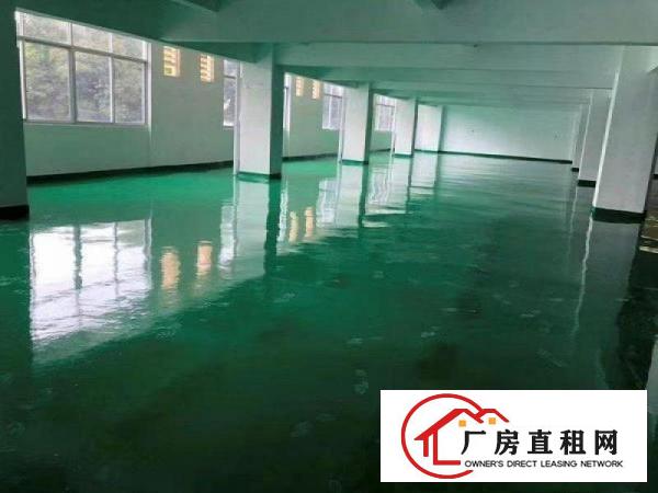  樟洋富竹街工业区原房东独院7200平