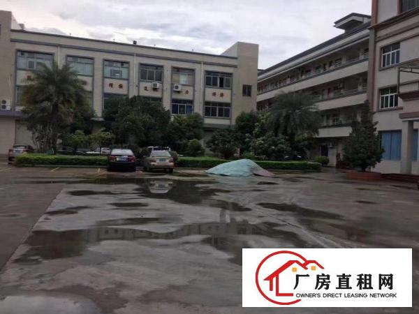  樟洋富竹街工业区原房东独院7200平