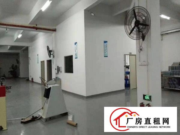  出租樟木头镇东城广场附近240平方小加工坊，面积实在