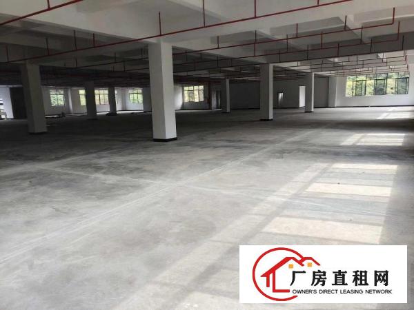  全新厂房业主首次出租