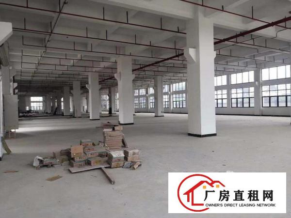  全新厂房业主首次出租