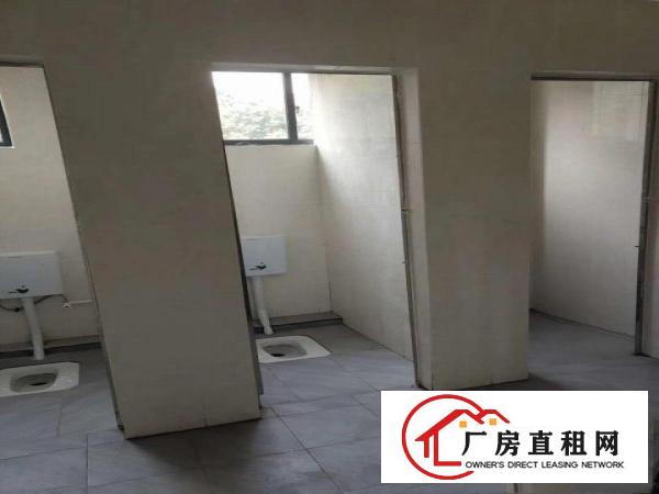  全新厂房业主首次出租
