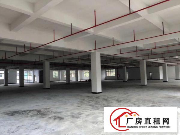  全新厂房业主首次出租