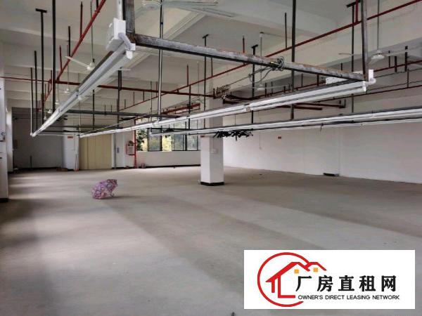  房东首次出租全新厂房