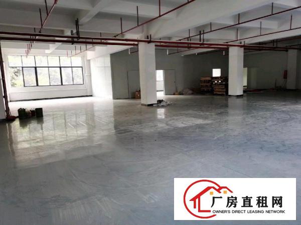  房东首次出租全新厂房