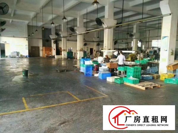  樟木头原房东带牛角装修水电齐全