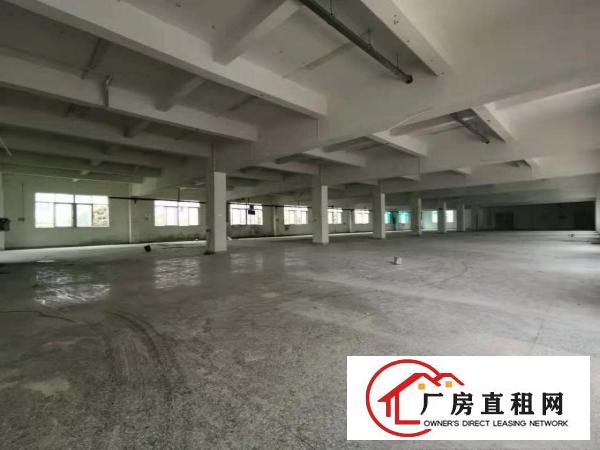  【~樟木头4200平方原房东独院厂房，线路齐，地段繁华~】