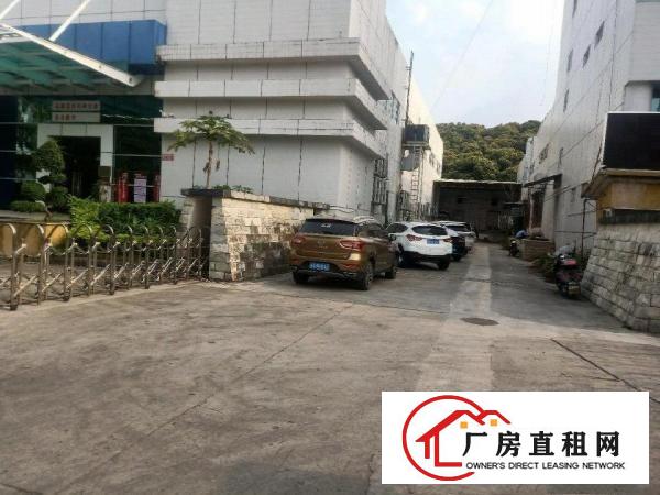  樟木头电子城附近2楼1000平