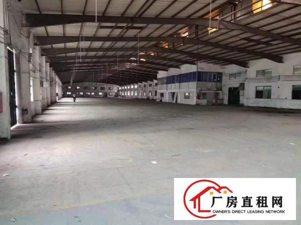  原房东，樟洋出租850平方8米高独院钢构厂房，合同5年