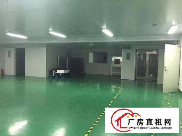  樟木头新出200-1300平出租可分租带精装修水电到位