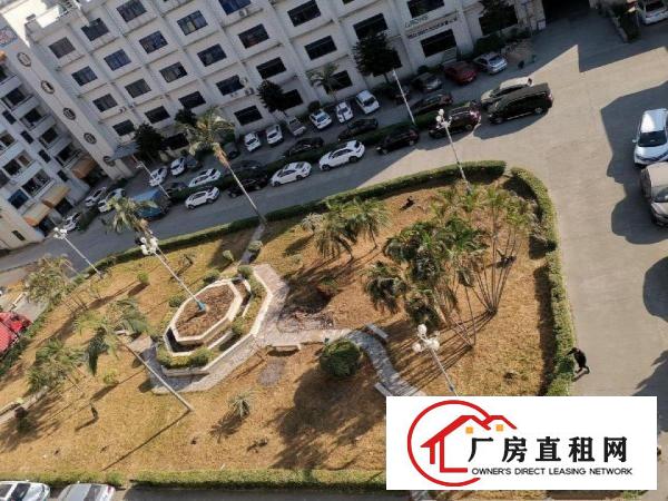  樟木头新出200-1300平出租可分租带精装修水电到位