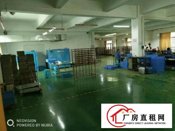  樟木头新出二三楼带精装修厂房共2000平招租