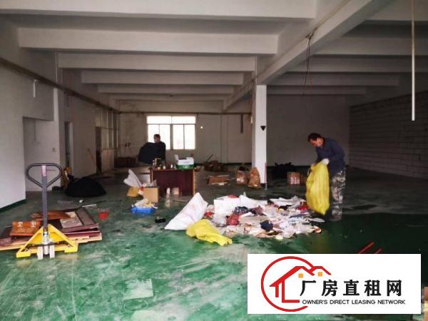  特价13元，樟木头原房东一楼厂房出租520平，带环评地坪漆