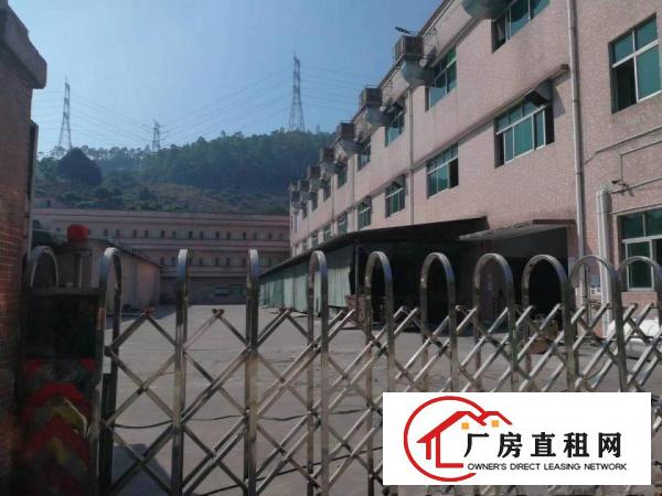  樟木头新出独院厂房三层4380平方带装修