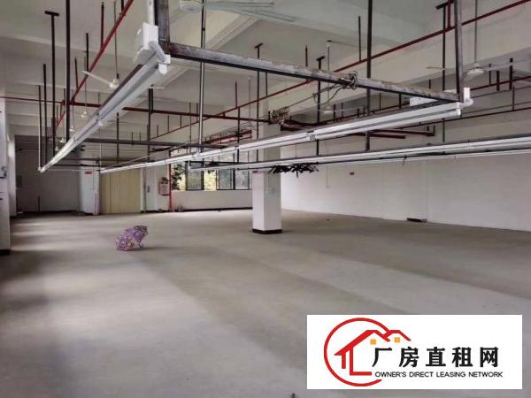  樟木头新出二楼厂房1320平方带喷淋