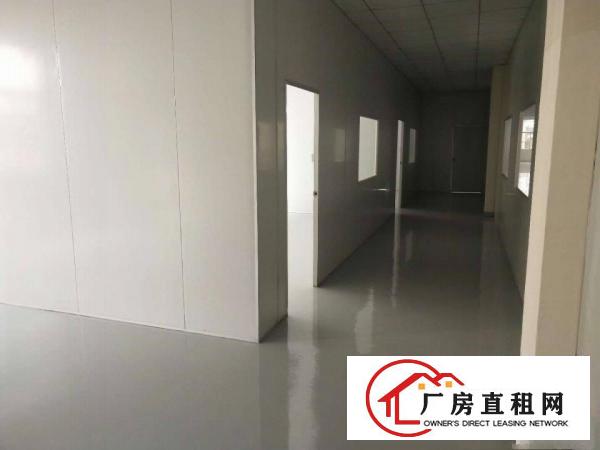  樟木头新出小独院厂房总面积3600平方