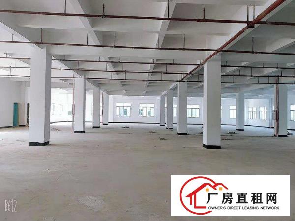  常平木棆工业区精品厂房出租整栋厂房整租分租交通便利