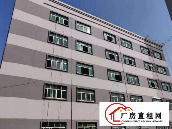  常平木棆工业区精品厂房出租整栋厂房整租分租交通便利