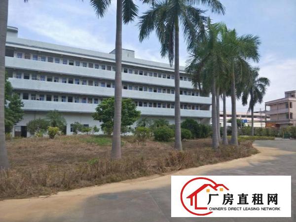  黄江刁朗花园式工业园楼上1200平方出租
