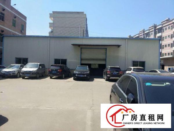  樟木头铁皮钢构房实际面积500方高度8米一手房东无公摊