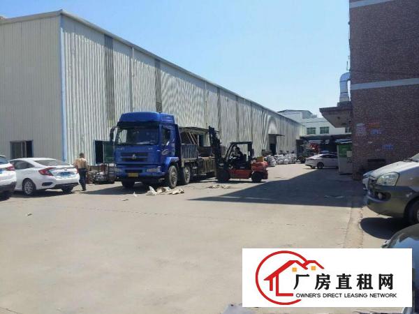  樟木头铁皮钢构房实际面积500方高度8米一手房东无公摊