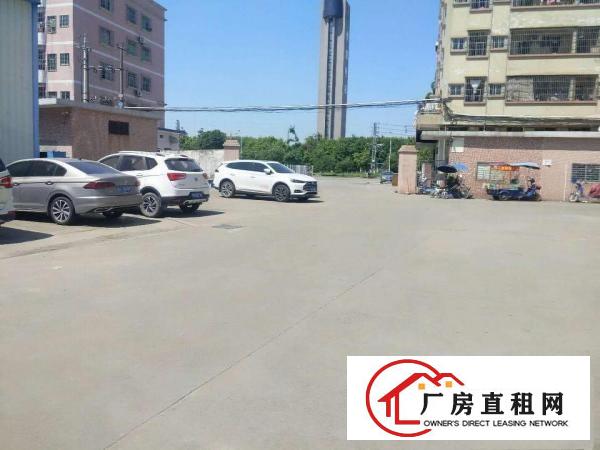  樟木头铁皮钢构房实际面积500方高度8米一手房东无公摊
