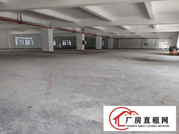  常平木棆工业区厂房出租层高7米带牛角可行车格局方正