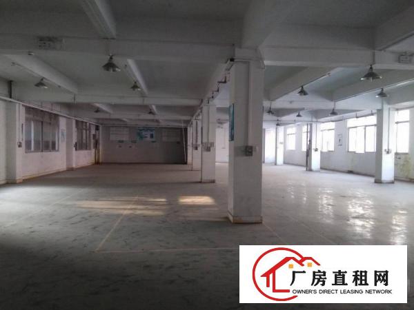  樟木头带现成塑胶环评一楼1000平方厂房出租