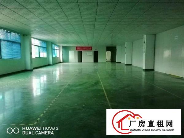  樟木头白果洞工业区新空出楼上1750平米，现成装修办公室