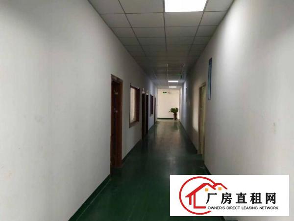  清溪罗马新出标准3楼1200平米带装修出租
