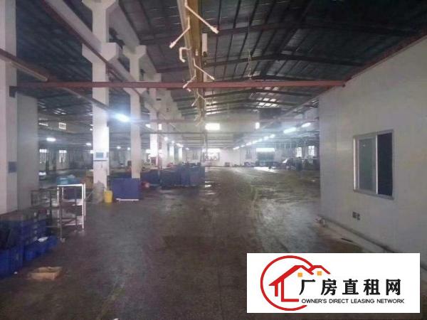  东莞市谢岗镇厂房出租