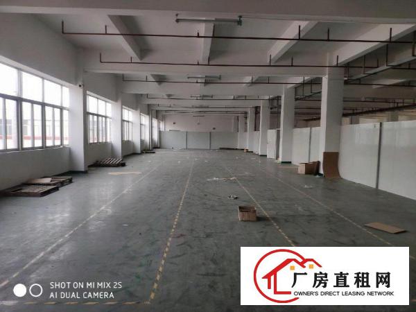  谢岗楼上单层带喷淋厂房出租