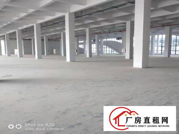  带红本全新可租可售-广东粤海装备技术产业园（含税含管理费）