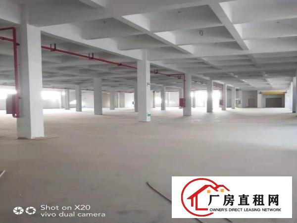  带红本全新可租可售-广东粤海装备技术产业园（含税含管理费）