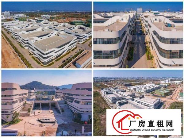  带红本全新可租可售-广东粤海装备技术产业园（含税含管理费）
