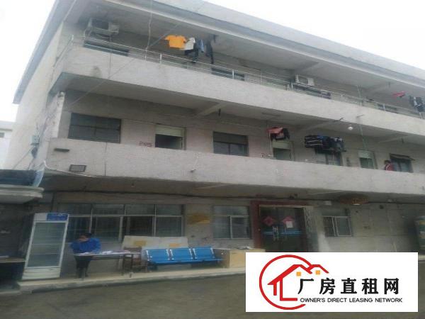  标准厂房，可以打通，村委的厂房，环境优美