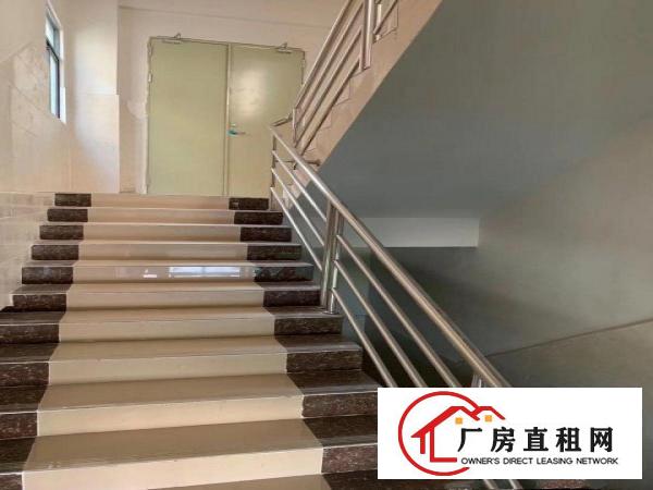  四层全新（电梯）独院厂房