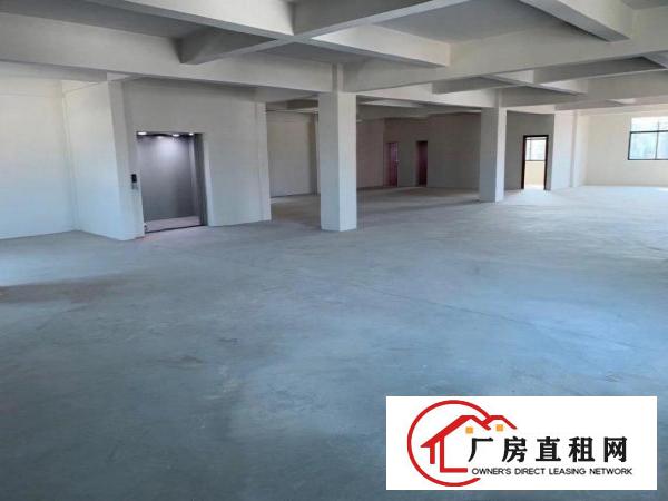  四层全新（电梯）独院厂房