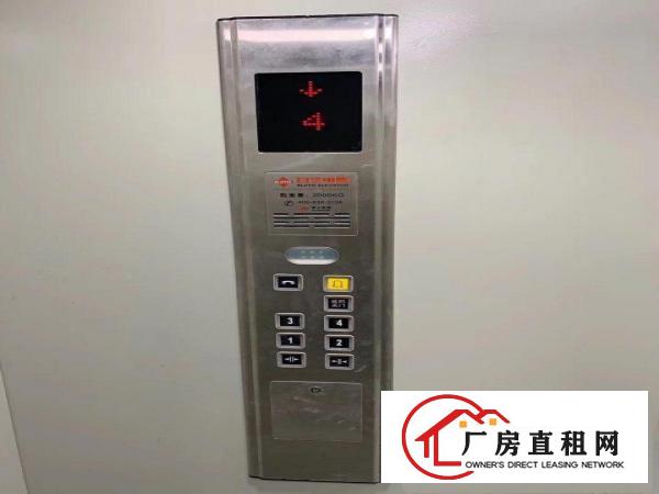  四层全新（电梯）独院厂房