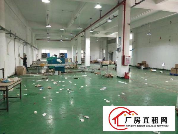  谢岗镇原房东独栋厂房