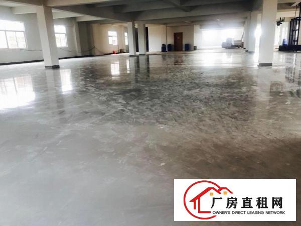  出租谢岗镇原房东化工厂房