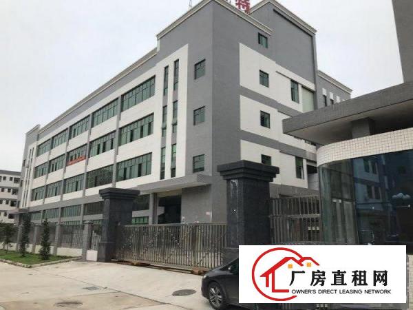  谢岗原房东优质好厂房无任何公摊