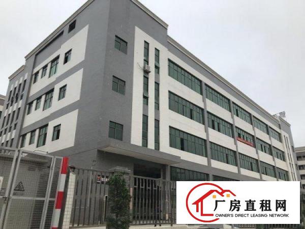  谢岗原房东优质好厂房无任何公摊