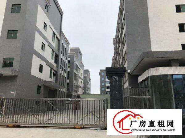  谢岗原房东优质好厂房无任何公摊