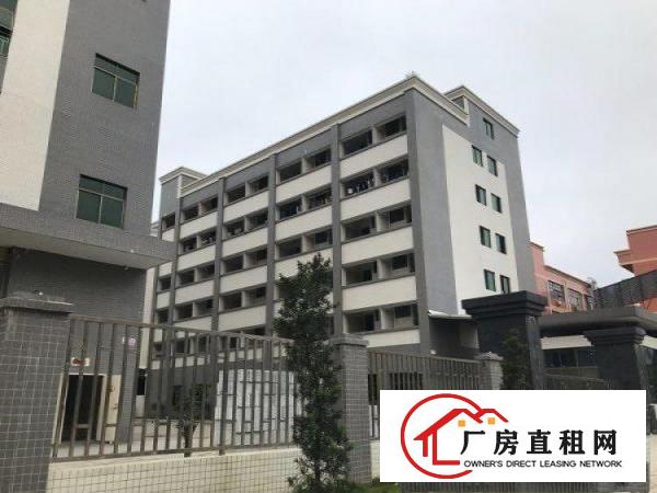  谢岗原房东优质好厂房无任何公摊